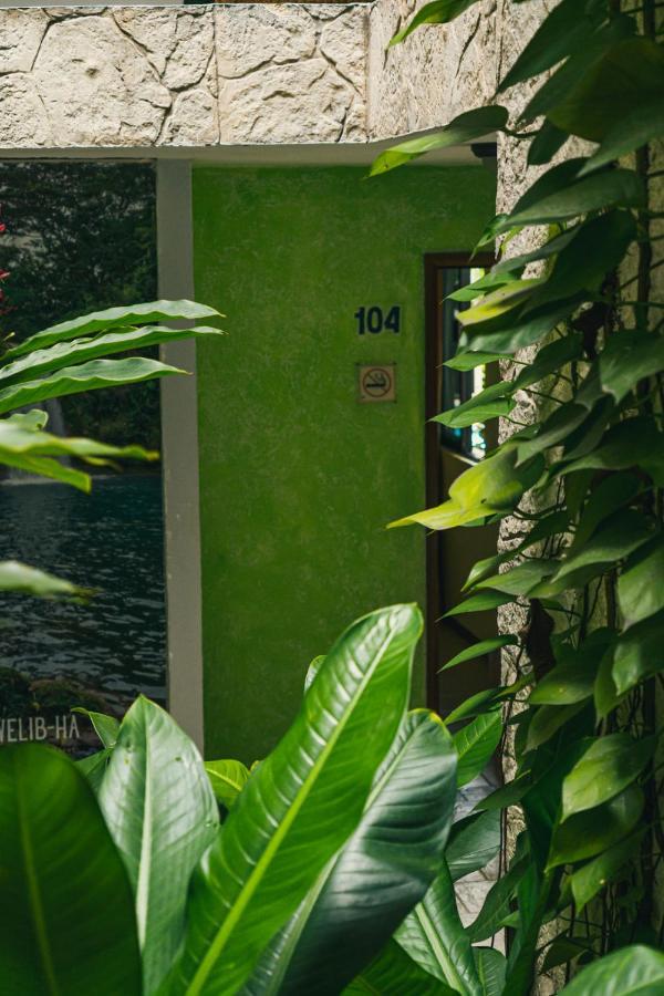 Hotel Canada Internacional بالينكو المظهر الخارجي الصورة